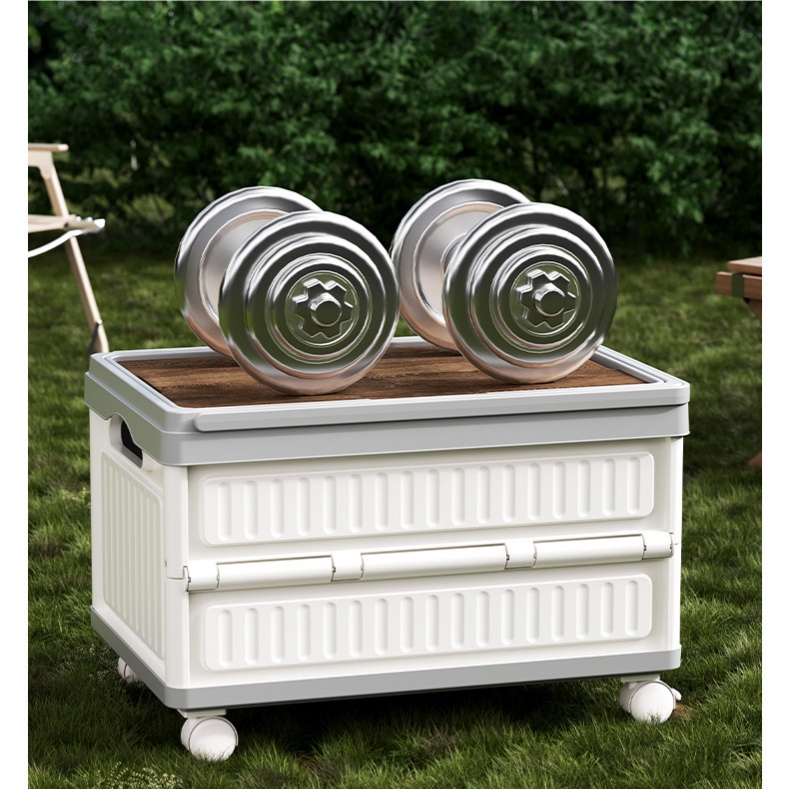 Foldable PP Car Trunk Organizer - Multi-Function Camping & Picnic Storage Box