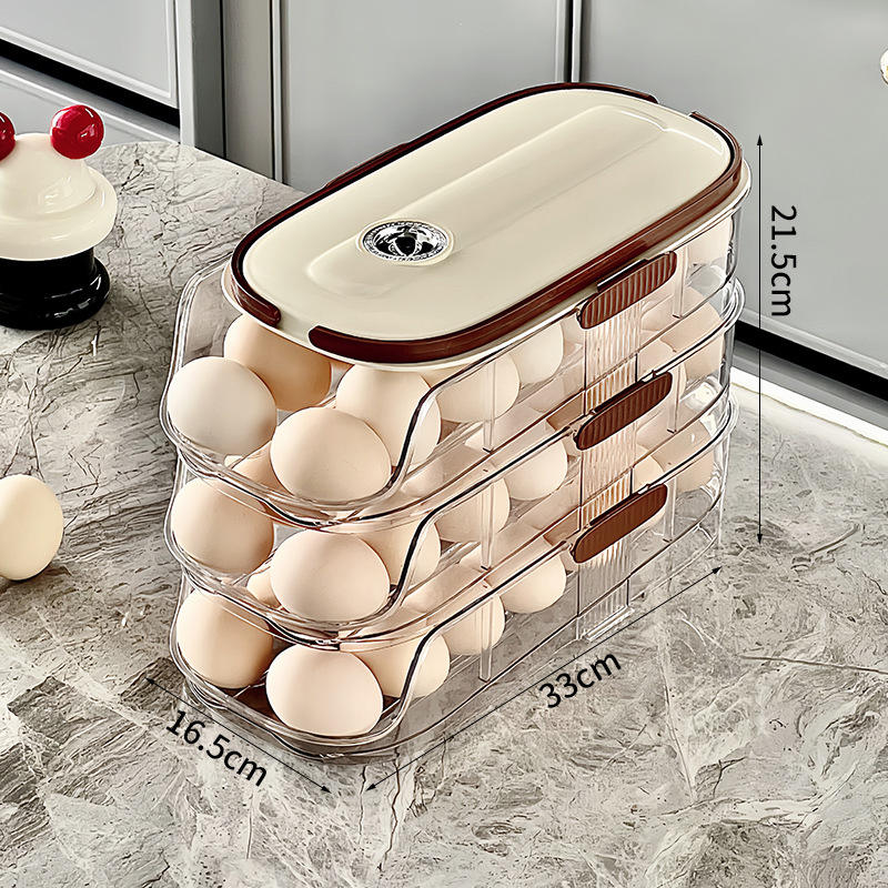 PP Double-Row Egg Storage Rack - Portable Fridge Side-Door Egg & Food Container